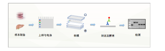 新闻图片2