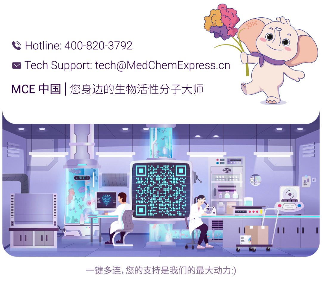 新闻图片1