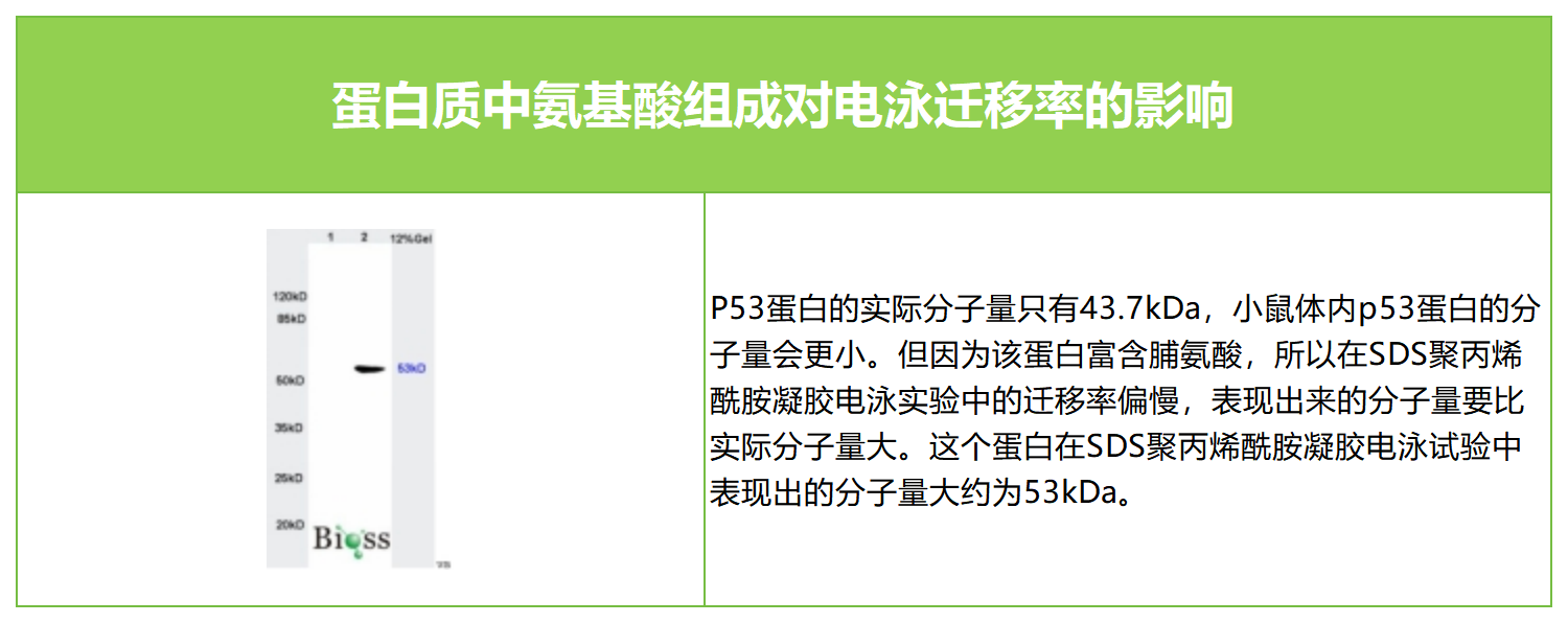 新闻图片3