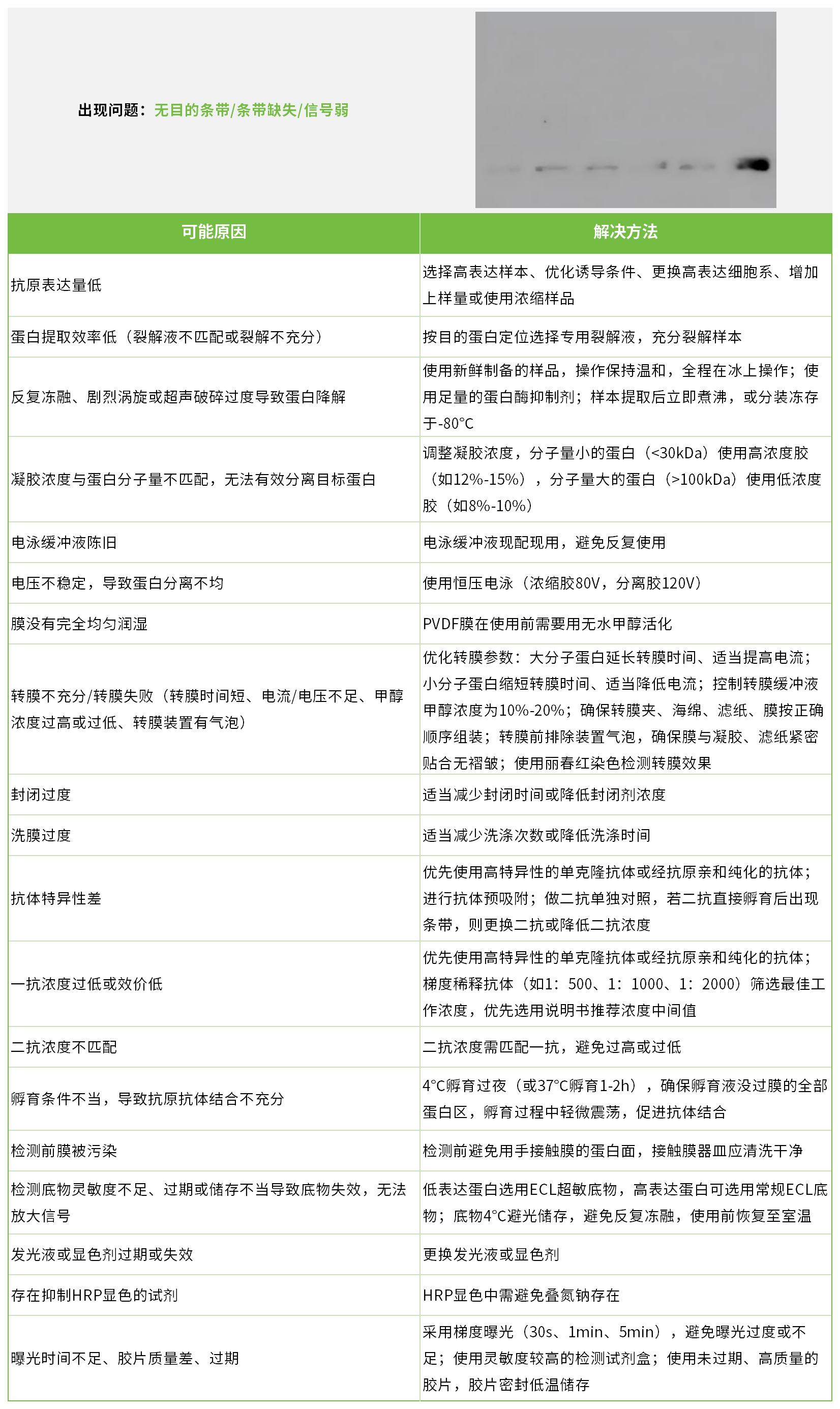 新闻图片10