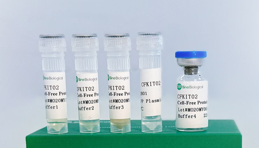 无细胞表达技术助力腾讯AI Lab在Nature子刊发文，实现蛋白设计闭环