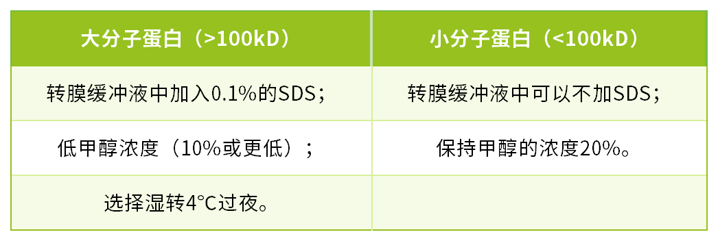 新闻图片6
