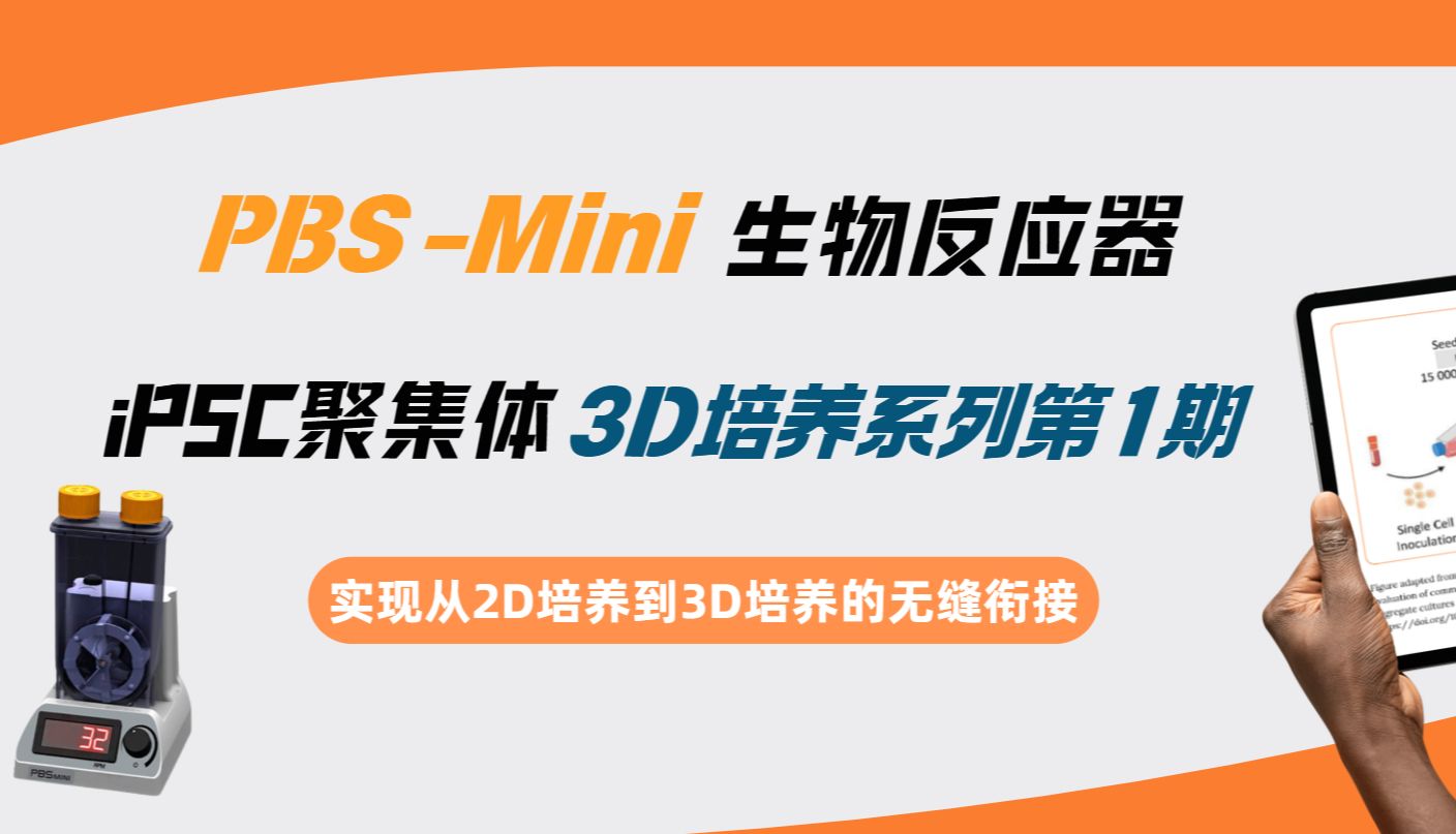 PBS Mini中iPSC聚集体3D培养系列1：从2D到3D的无缝衔接｜曼博生物