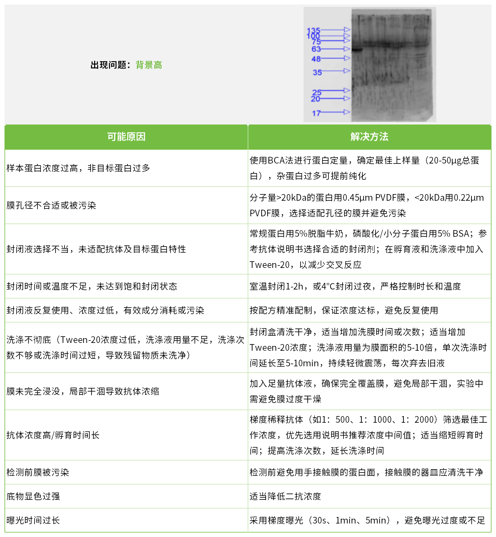 新闻图片4