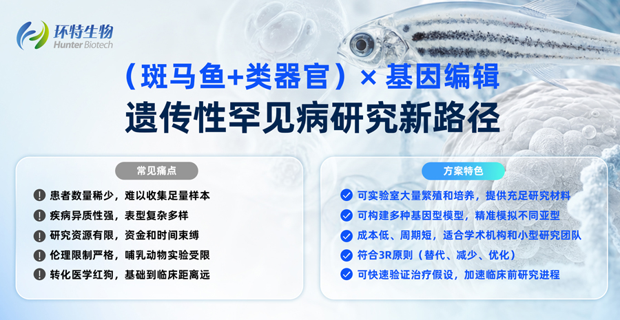 产品细节图片1