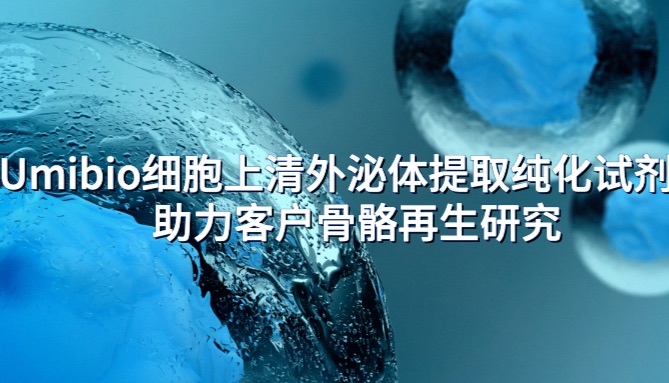 IF=13.3 | Umibio细胞上清外泌体提取纯化试剂盒助力客户骨骼再生研究！