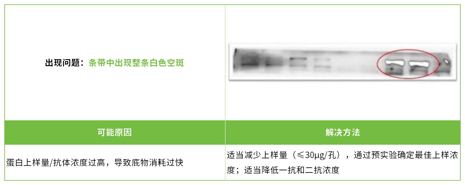 新闻图片8