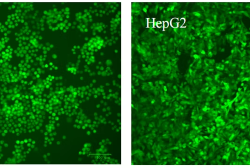 PreciGenome PreciGenome