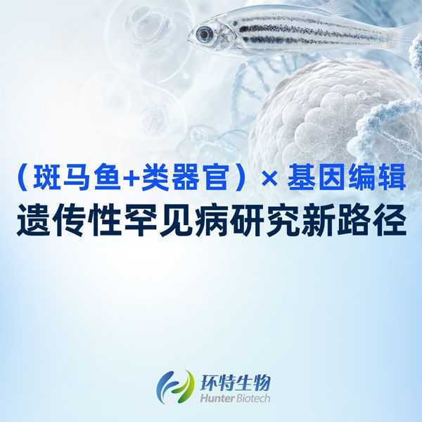 产品封面图