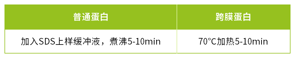 新闻图片3