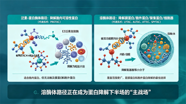 齐研 2-2.png 齐研 2-2.png