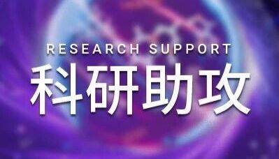 表观遗传修饰：想要改变基因表达？不只有 DNA，染色体也可以！