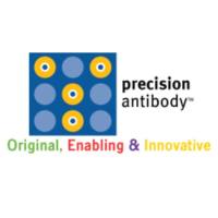 precision antibody