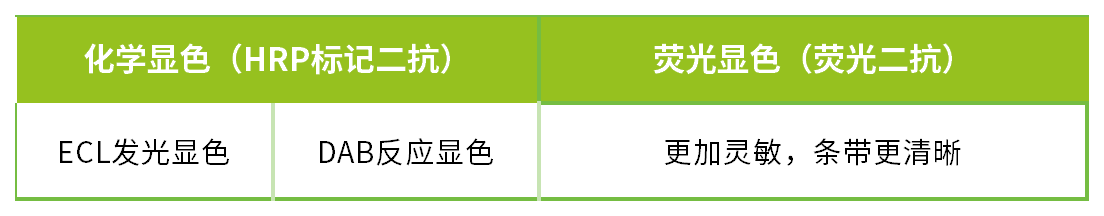 新闻图片7