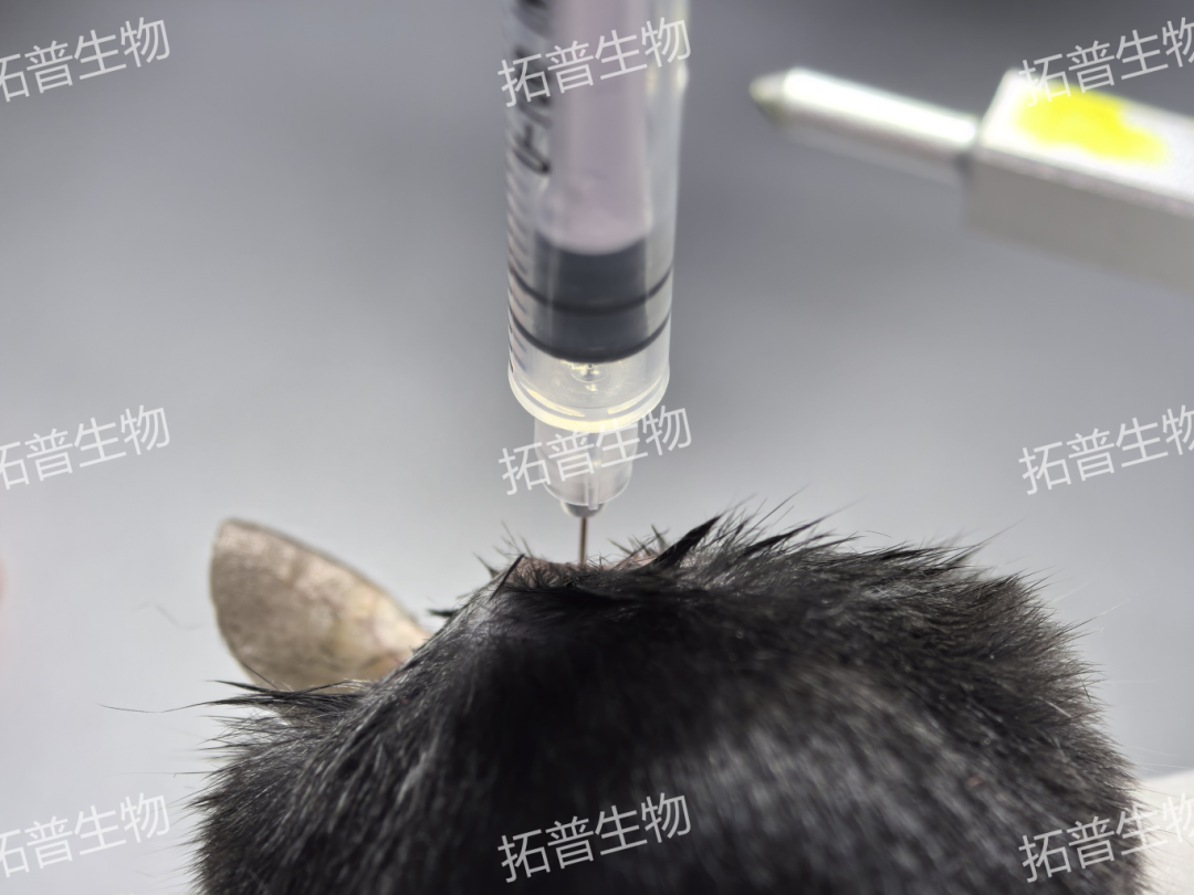 圖片1.png