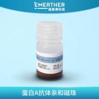 蛋白A抗体亲和磁珠/蛋白G抗体亲和磁珠
