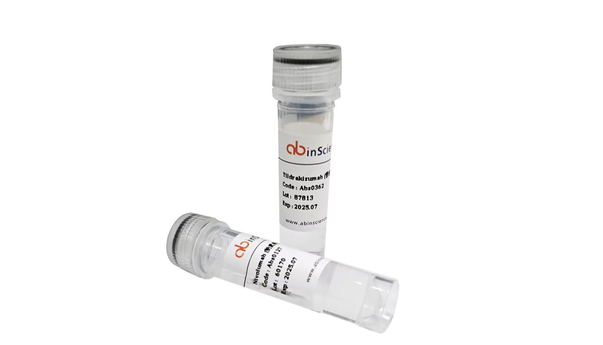 武汉艾必赛生物有限公司推荐Anti-BDBV Envelope glycoprotein Polyclonal Antibody ,精品抗体