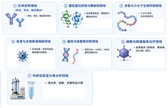 新闻图片2