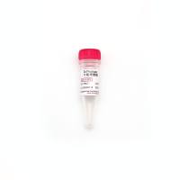 ExNuclease 全能核酸酶