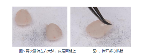 新闻图片5