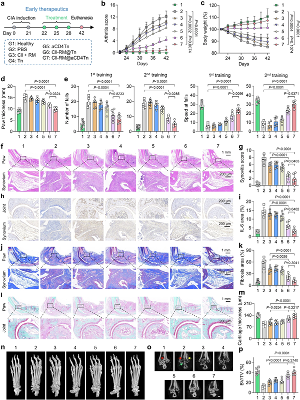 BMG LABTECH多功能酶标仪文献分享,苏州大学研究人员发表在Nature Communications “DC-CD4 bispecific tolerogenic nanovesicles induce antigen-specific regulatory T cells and ameliorate collagen-induced arthritis in mice”