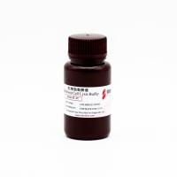 Red Blood Cell Lysis Buffer红细胞裂解液