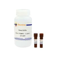 铁死亡荧光检测试剂盒(RhoNox-6/CM-H2DCFDA)