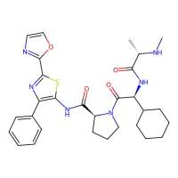 CUDC-427,1446182-94-0,10mM in DMSO,阿拉丁