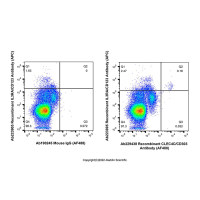 Recombinant CLEC4C/CD303 Antibody (AF488)，重组