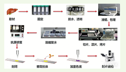 为什么免疫组化实验离不开抗原修复这一步？