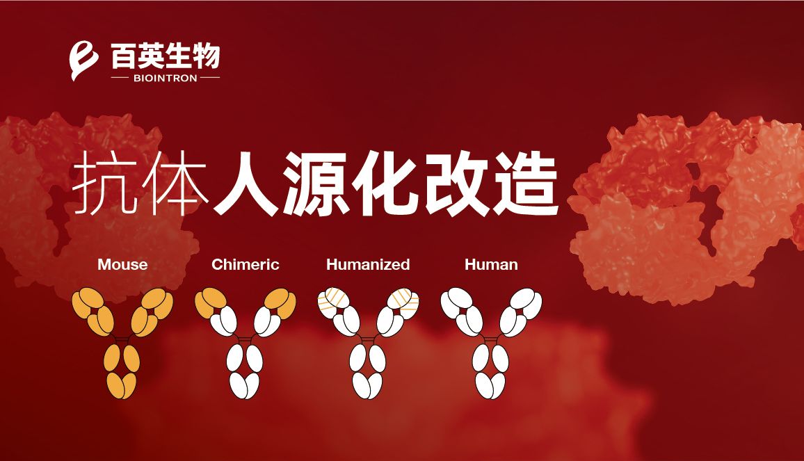 从数据看趋势：超半数上市抗体药，都离不开这关键一步