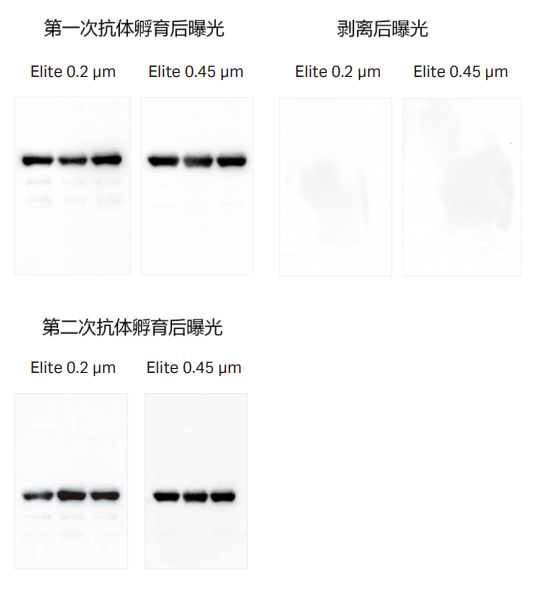 产品细节图片2
