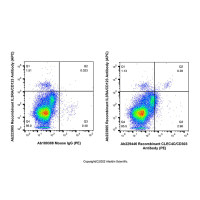 Recombinant CLEC4C/CD303 Antibody (PE) ，重组