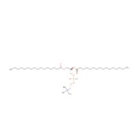 1,2-二棕榈酰-sn-甘油-3-磷酰胆碱(DPPC),63-89-8,Moligand™, ≥99%,阿拉丁