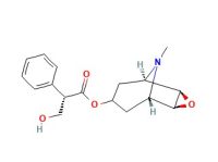 东莨菪碱，51-34-3，分析标准品，阿拉丁