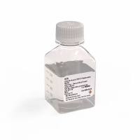 OMICS Guard™ CRYO 冷冻保存缓冲液