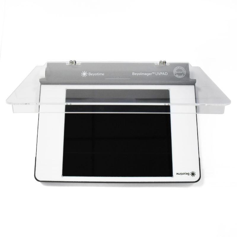 BeyoImager™ UVPAD LED紫外凝胶透射仪
