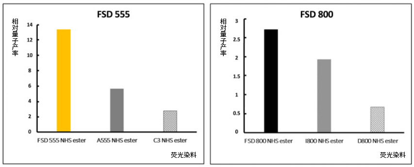 新闻图片4