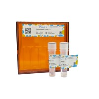 热稳定核糖核酸酶H，BioReagent, 无DNA酶和RNA酶, 分子生物学级, EnzymoPure™, 无菌, for DNA and RNA applications, ≥95%, 5 U/μl，阿拉丁