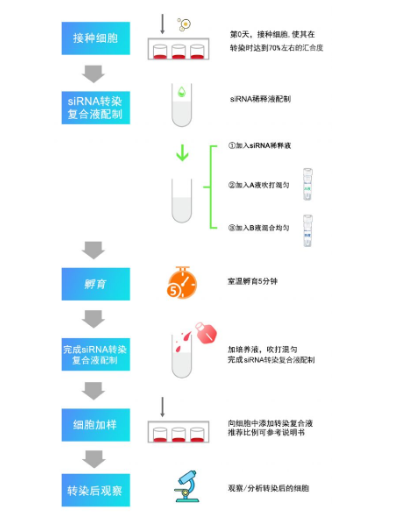 新闻图片1