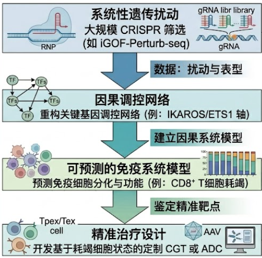 QQ_1780037021388.png
