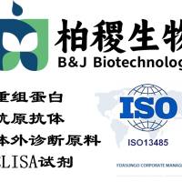 丙肝诊断原料/HCV-NS3/重组丙肝HCV-NS3 蛋白抗原（PBS/甘油）/过国家血清