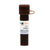 SYBR Green I (10,000X in DMSO, qPCR Grade)