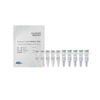 2X Accurate Taq HS PCR 预混液（含 UNG）
