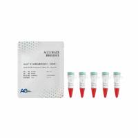 ApexHF HS DNA 聚合酶预混液 – FL（含染料）