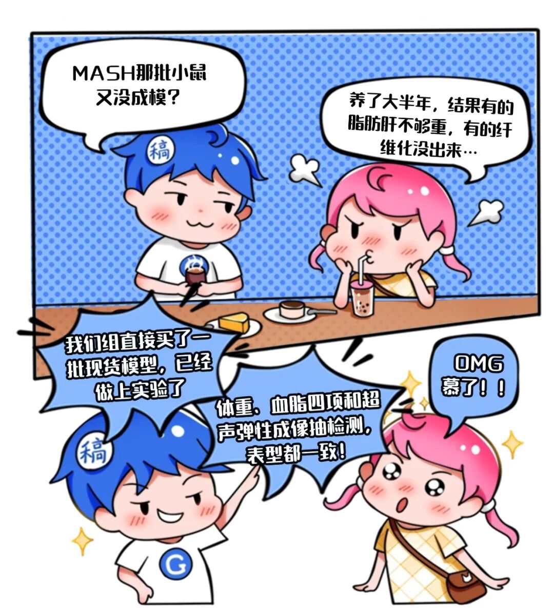 高成模率MASH动物模型平台：现货直供赋能代谢性疾病新药的临床前快速药效评价