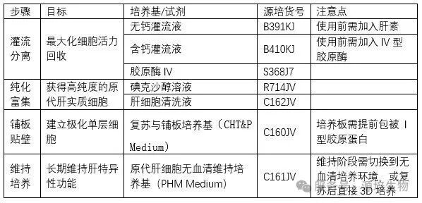 表格-2.png
