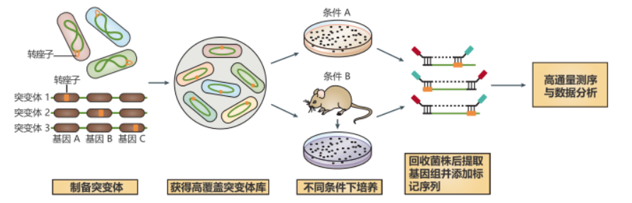 新闻图片2