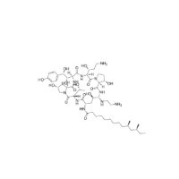卡泊芬苷（MK-0991），162808-62-0，Moligand™,≥98%，阿拉丁