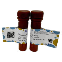 荧光素-12-dUTP，201682-73-7，BioReagent, 分子生物学级, for DNA and RNA applications, ≥95%, 1mM，阿拉丁